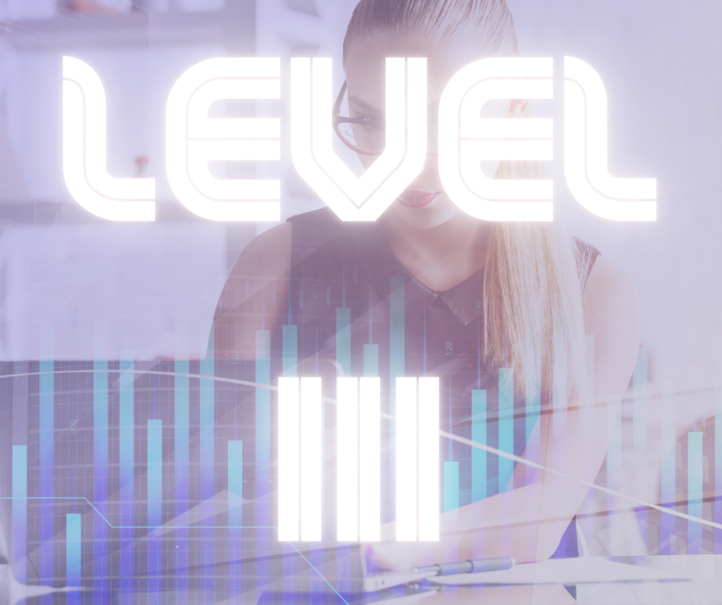 Fund Manager Level 3