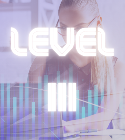 Fund Manager Level 3